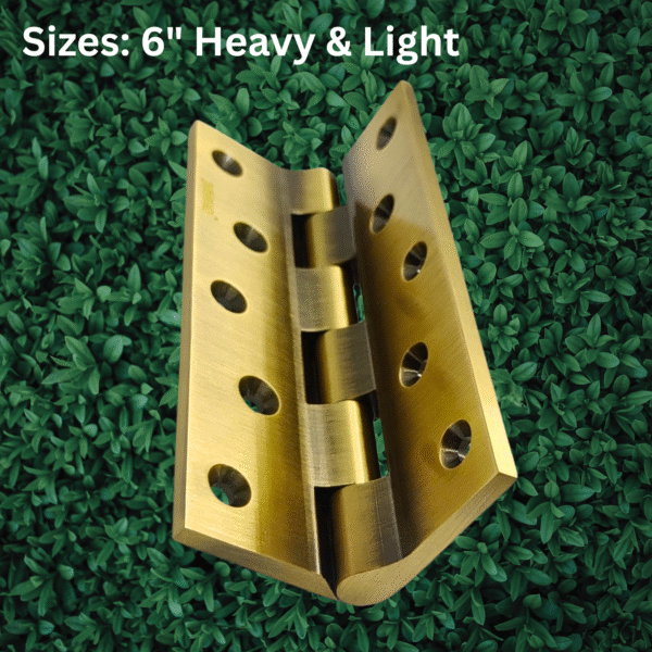 Premium Brass Railway Hinge